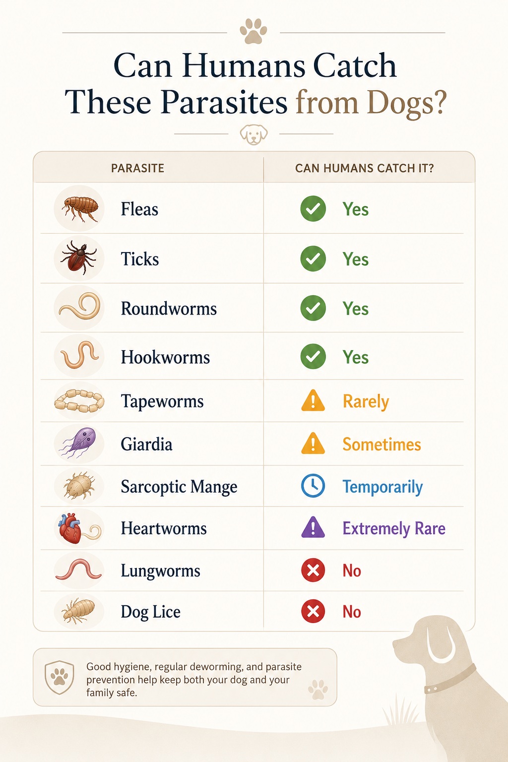 can humans catch parasites from dogs