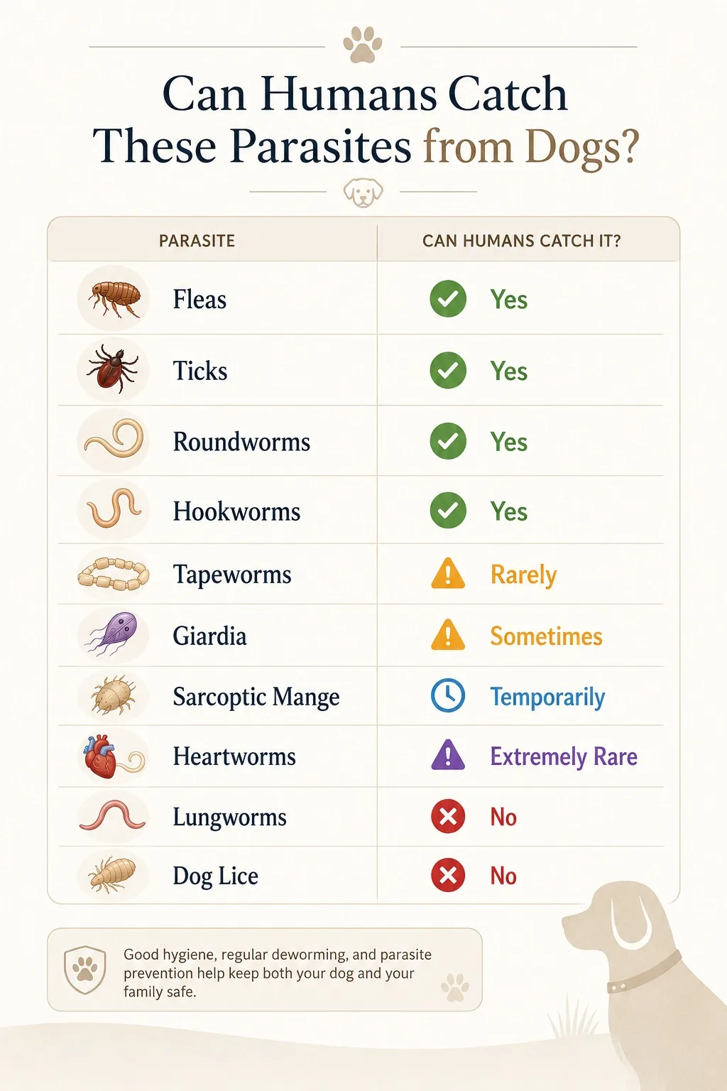 can humans catch parasites from dogs