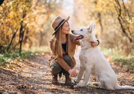 How to Take Care of Dogs – A Quick Guide