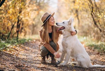 How to Take Care of Dogs – A Quick Guide