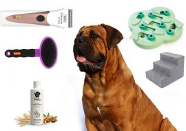 18 Dog Products on Amazon Prime Day Sale