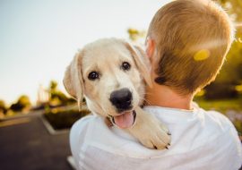 5 Ways To Keep Your Dog Healthy and Happy
