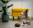 The Ultimate Checklist for Dog-Proofing Your Home