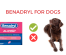 How to Properly Care for a Brachycephalic Dog