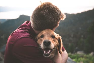 The Power of Dog Helpers for Psychological Wellness