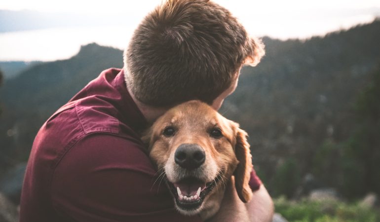 The Power of Dog Helpers for Psychological Wellness
