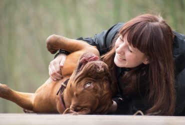 The Importance of Teaching Responsible Pet Adoption