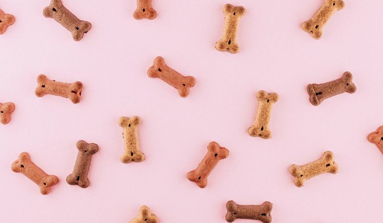 Peanut Butter Dog Biscuits with Honey – Super-easy Recipe