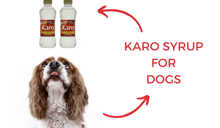 Karo Syrup for Dogs – Uses, Advantages, & Disadvantages