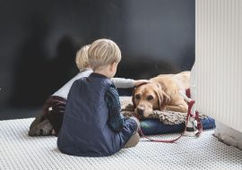 The Role of Pets in Child Development
