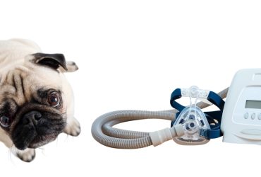 Are There Any CPAP Machines For Dogs or Not?