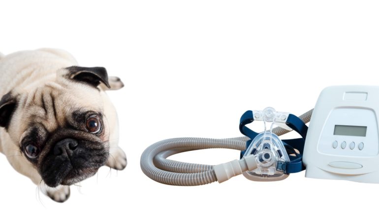 Are There Any CPAP Machines For Dogs or Not?