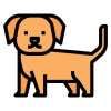 dog (3)